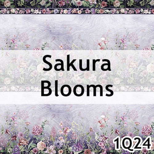Sakura Blooms